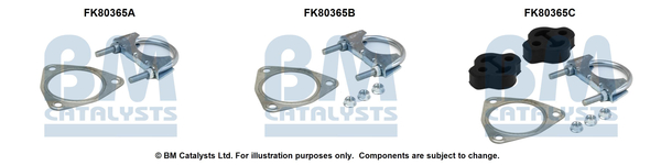 Set montare, catalizator FK80365 BM CATALYSTS