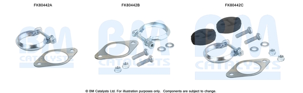 Set montare, catalizator FK80442 BM CATALYSTS
