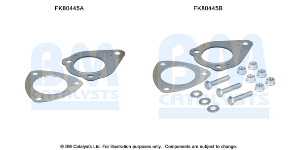 Set montare, catalizator FK80445 BM CATALYSTS