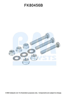 Set montare, catalizator FK80456 BM CATALYSTS