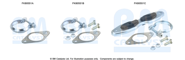 Set montare, catalizator FK80551 BM CATALYSTS