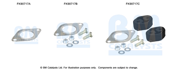 Set montare, catalizator FK90717 BM CATALYSTS