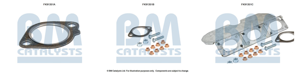 Set montare, catalizator FK91351 BM CATALYSTS
