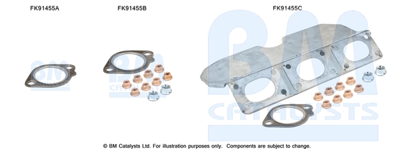 Set montare, catalizator FK91455 BM CATALYSTS