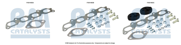 Set montare, catalizator FK91483 BM CATALYSTS