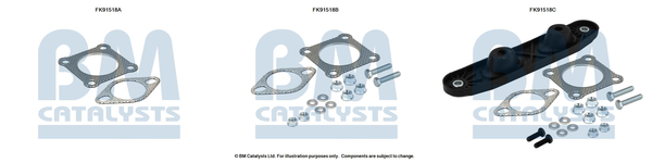 Set montare, catalizator FK91518 BM CATALYSTS