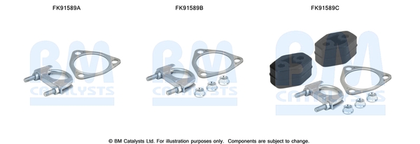 Set montare, catalizator FK91589 BM CATALYSTS