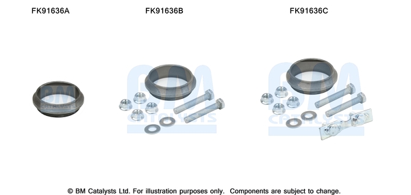 Set montare, catalizator FK91636 BM CATALYSTS