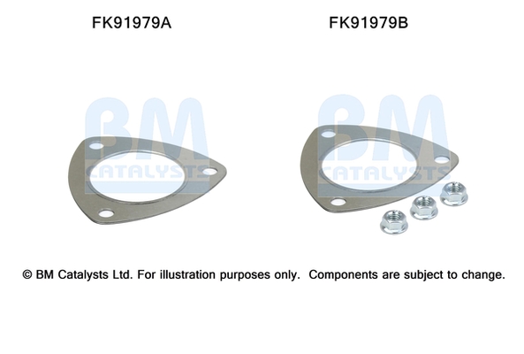 Set montare, catalizator FK91979 BM CATALYSTS