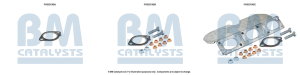 Set montare, catalizator FK92195 BM CATALYSTS