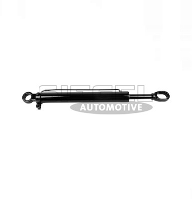 Cilindru basculare, cabina sofer SA2C0012 SIEGEL Automotive
