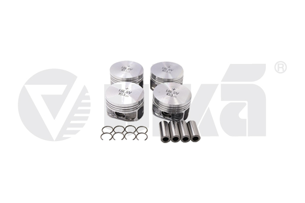 Piston 11071559501 vika