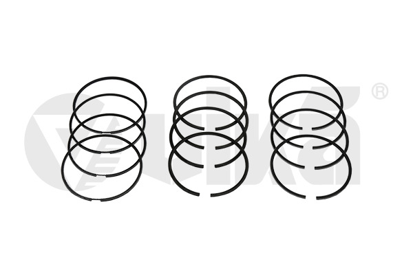 Set segmenti piston 11980019301 vika