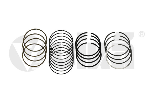 Set segmenti piston 11981187801 vika