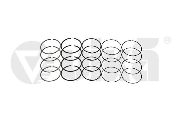 Set segmenti piston 11981543001 vika