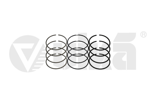 Set segmenti piston 11981543301 vika