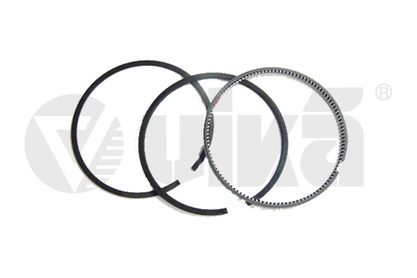 Set segmenti piston 11981629901 vika