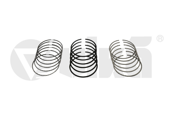 Set segmenti piston 11981631801 vika