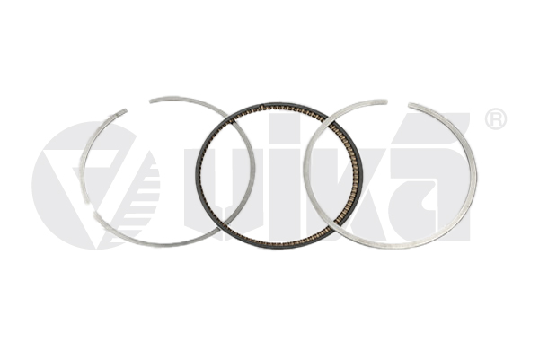 Set segmenti piston 11981632101 vika