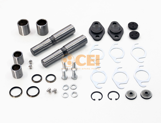 Set reparatie, pivot 230.125 C.E.I.