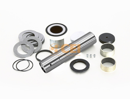 Set reparatie, pivot 230.163 C.E.I.
