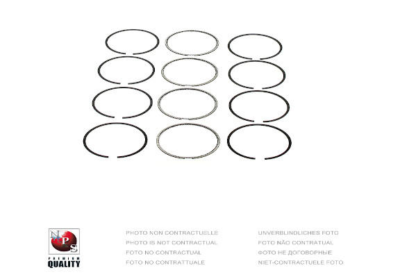 Set segmenti piston M903I25 NPS