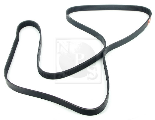 Curea transmisie cu caneluri D111O06 NPS