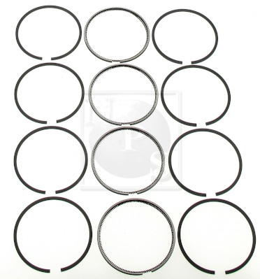 Set segmenti piston I903U06B NPS