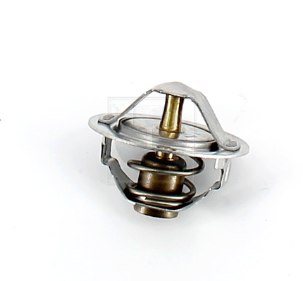Termostat,lichid racire S153I06 NPS