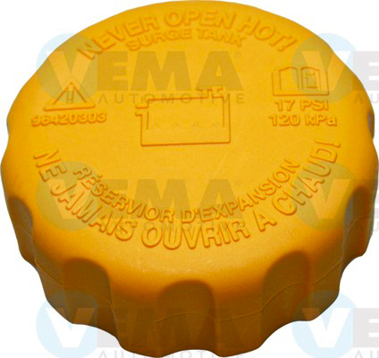 Buson,vas expansiune 159613 VEMA