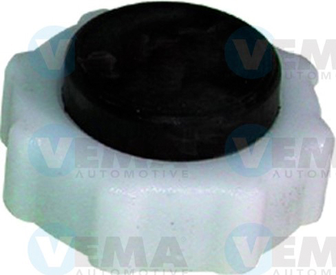 Buson,radiator 15973 VEMA