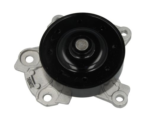 Pompă de apă, răcire motor D12096TT THERMOTEC