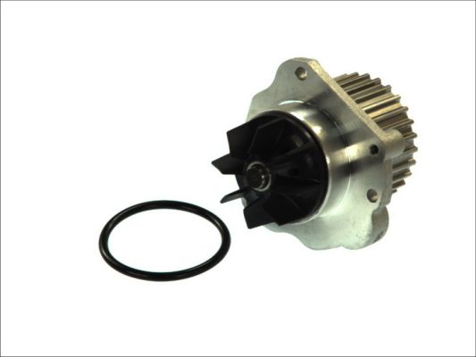 Pompă de apă, răcire motor D1P044TT THERMOTEC