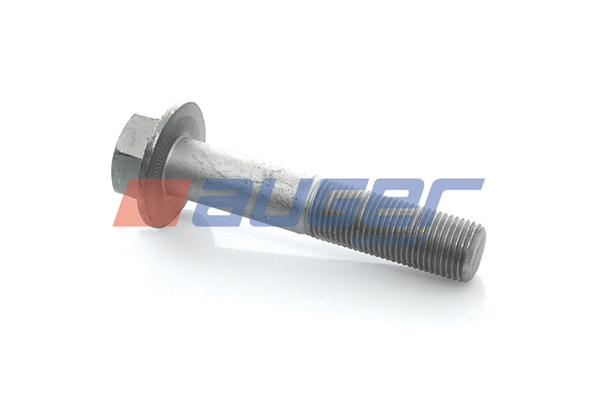 Surub 51528 AUGER