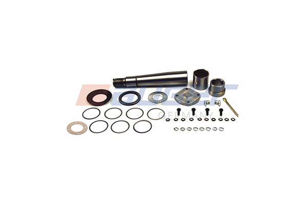 Set reparatie, pivot 52566 AUGER