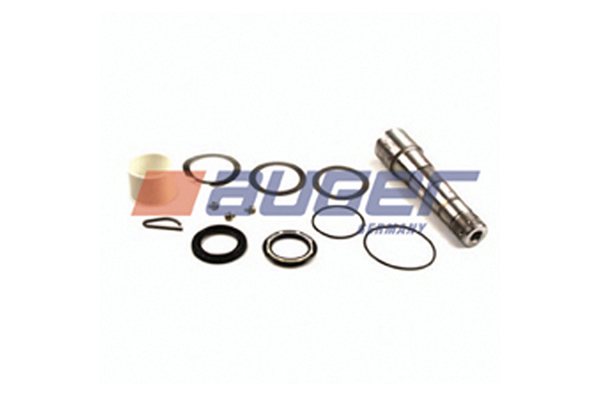 Set reparatie, pivot 54239 AUGER