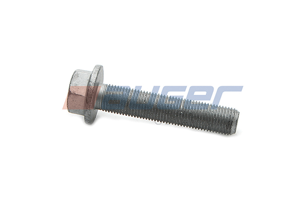 Surub 78831 AUGER