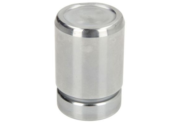 Piston, etrier frana CQ71334908 LAUBER