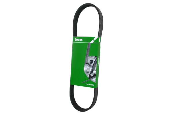 Curea transmisie cu caneluri 6PK1350L LUCAS