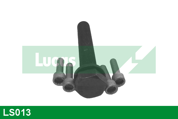 Set surub, disc curea-arbore cotit LS013 LUCAS
