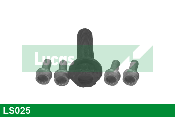 Set surub, disc curea-arbore cotit LS025 LUCAS