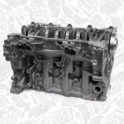 Motor,excluzand accesoriile SB0003 ET ENGINETEAM