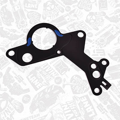Garnitura, pompa vacuum TM0020 ET ENGINETEAM