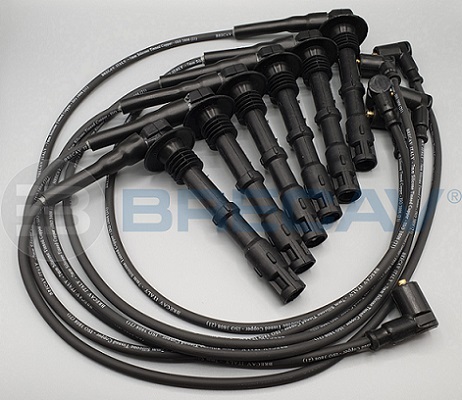 Set cablaj aprinder BM012 BRECAV