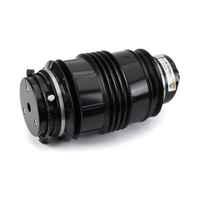 Arc pneumatic, directie A-3313 Arnott