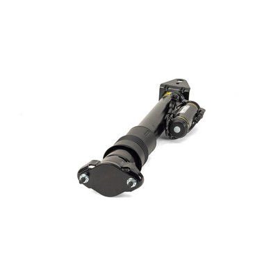 Amortizor SK-3217 Arnott