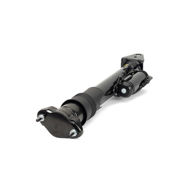 Amortizor SK-3262 Arnott