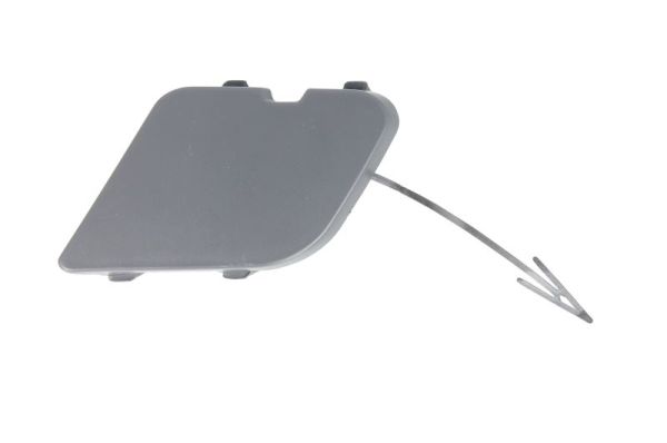 Acoperire tampon,sistem de remorcare 5513-00-2583925Q BLIC