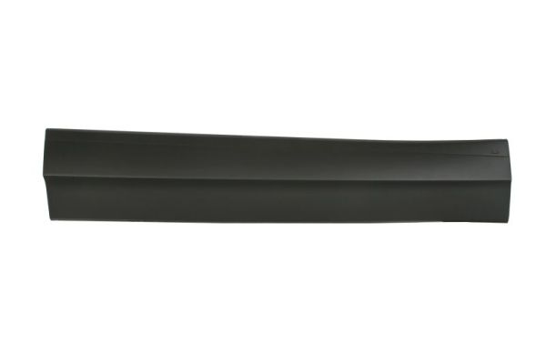Elemente decorative/protectie, portiera 5703-02-9588971P BLIC