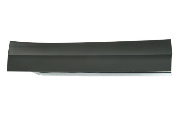 Elemente decorative/protectie, portiera 5703-02-9588972P BLIC